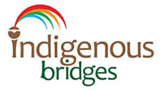 Indegious Bridges