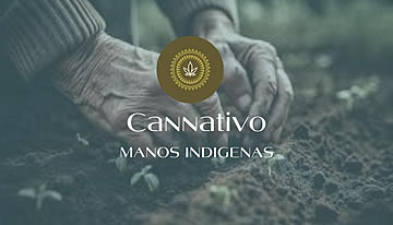 Cannativo Manos Indigenas