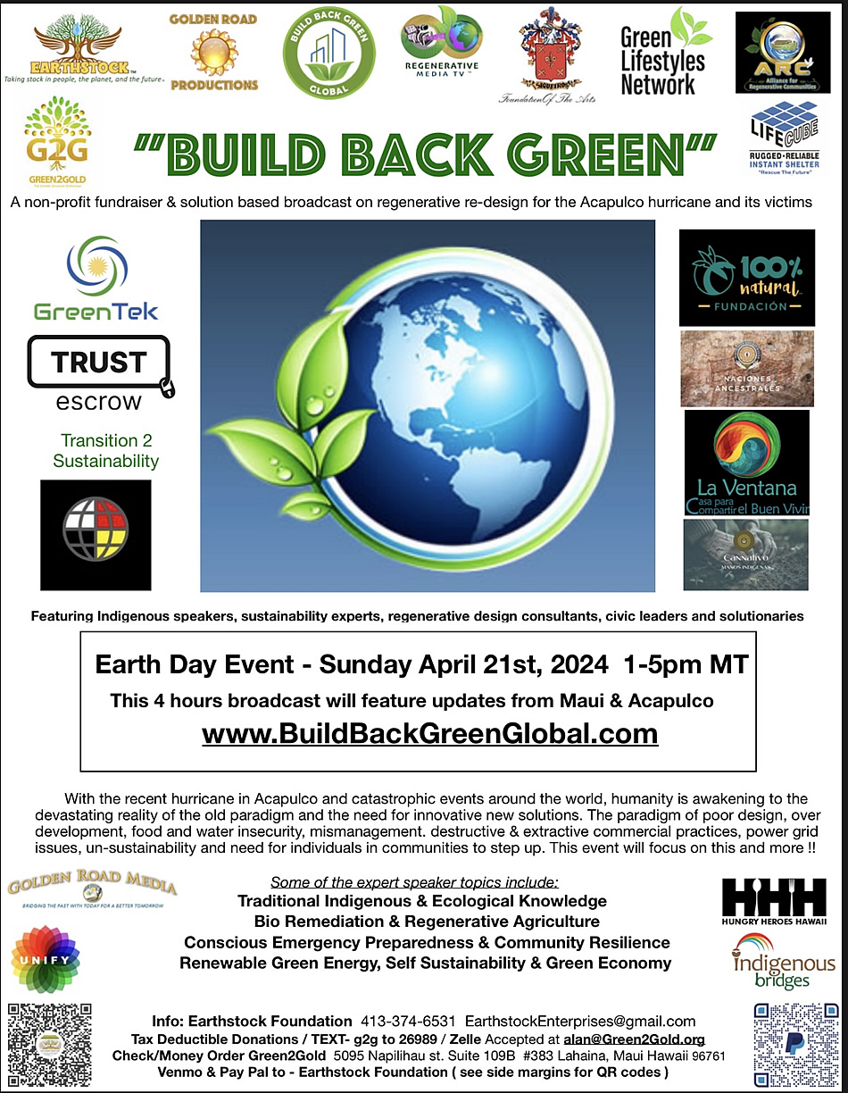 Build Back Green poster